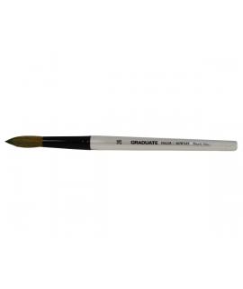 Daler Rowney Graduate Pincel Acuarela - Mezcla de Pelo de Pony y Sintetico - Mango Corto - Redondo Lavis Nº26