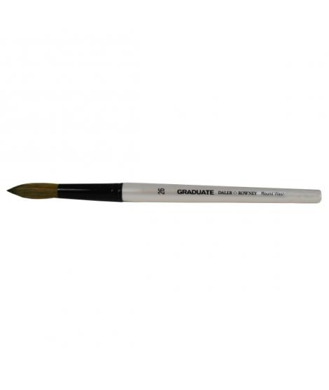 Daler Rowney Graduate Pincel Acuarela - Mezcla de Pelo de Pony y Sintetico - Mango Corto - Redondo Lavis Nº26