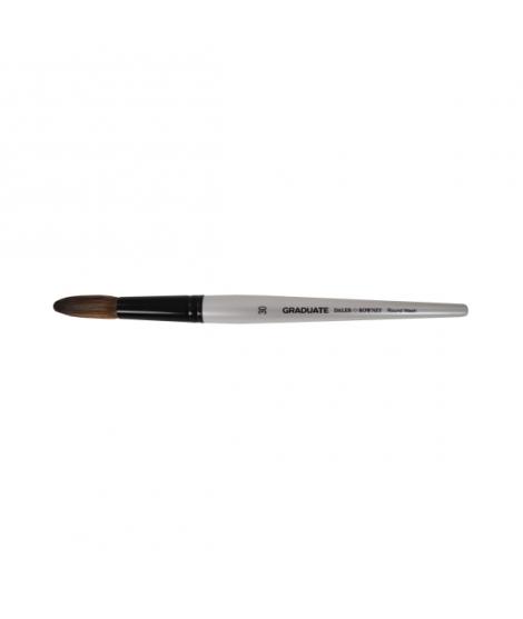 Daler Rowney Graduate Pincel Acuarela - Mezcla de Pelo de Pony y Sintetico - Mango Corto - Redondo Lavis Nº30