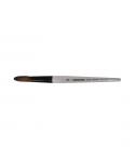 Daler Rowney Graduate Pincel Acuarela - Mezcla de Pelo de Pony y Sintetico - Mango Corto - Redondo Lavis Nº30