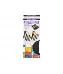 Daler Rowney Graduate Pack de 10 Pinceles Multitecnica - Pelo de Cerda y Pelo Sintetico - Mango Largo - Estuche con Cremallera