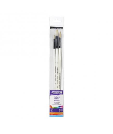 Daler Rowney Graduate Pack de 3 Pinceles para Oleo - Pelo de Cerda Natural - Mango Largo