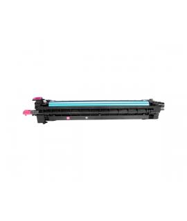 Pantum CDL2300 Magenta Tambor de Imagen Original - CDL-2300M (Drum)