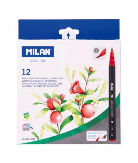 Milan Pack de 12 Rotuladores Acuarelables - Tinta al Agua - Punta de Pincel 0.5 a 6mm - Colores Surtidos