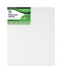 Daler Rowney Simply Bastidor Entelado - 40x50cm - Imprimacion Triple - Grano Medio - 100% Algodon sin Acido - 250g - Color Blanc