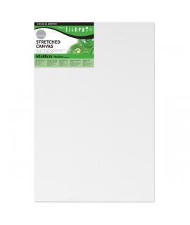 Daler Rowney Simply Bastidor Entelado - 40x60cm - Imprimacion Triple - Grano Medio - 100% Algodon sin Acido - 250g - Color Blanc