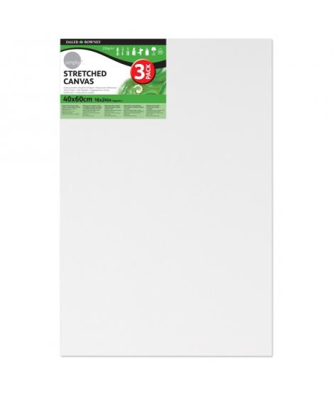 Daler Rowney Simply Pack de 3 Bastidores Entelados- 40x60cm - Imprimacion Triple - Grano Medio - 100% Algodon sin Acido - 250g -