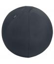 Leitz Ergo Active Balon de Asiento Antideslizante 55cm - Asa de Transporte Resistente - Carga Maxima de 120kg - Funda Lavable - 