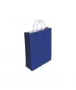 Bismark Bolsa de Papel Celulosa - Medidas 37x12x27cm - Color Azul