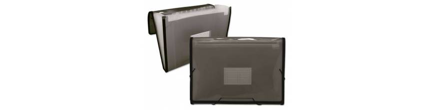 Carpetas Clasificadoras y Acordeon